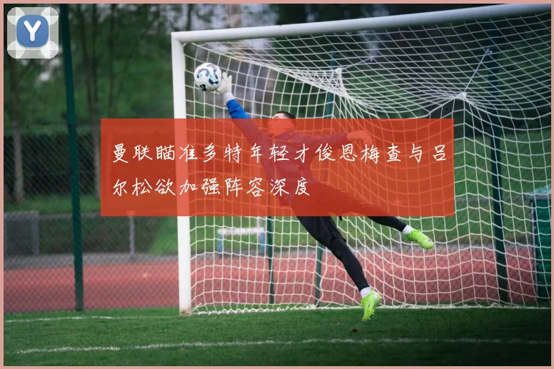 曼联瞄准多特年轻才俊恩梅查与吕尔松欲加强阵容深度